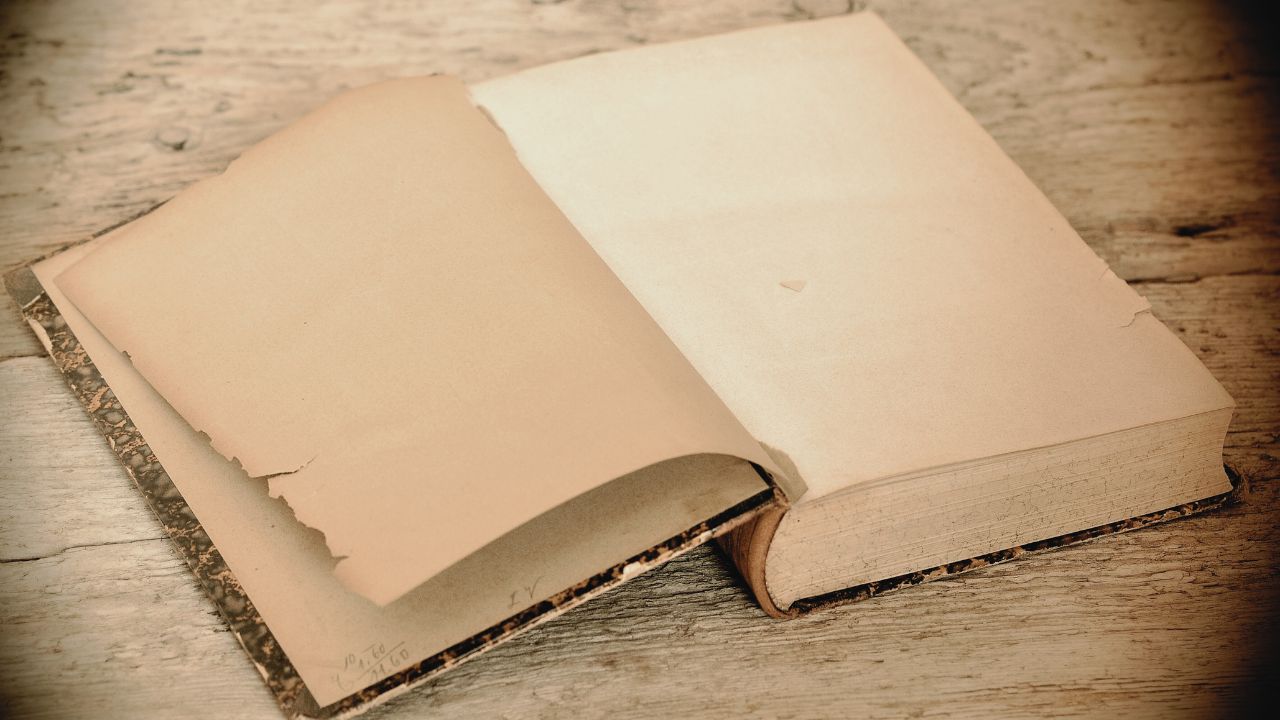 作家とはどんな人？生涯・代表作・作品の特徴をやさしく解説